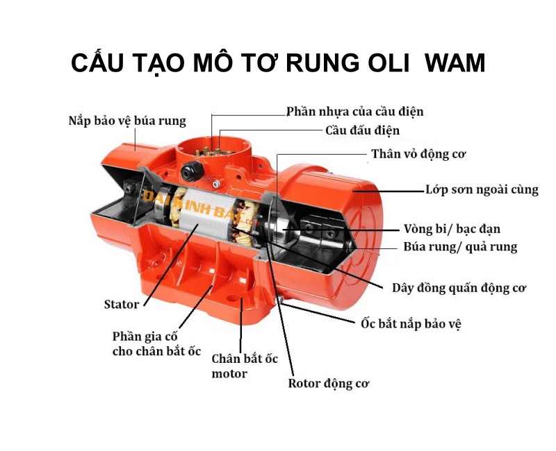Cấu tạo bên trong của động cơ rung oli wam
