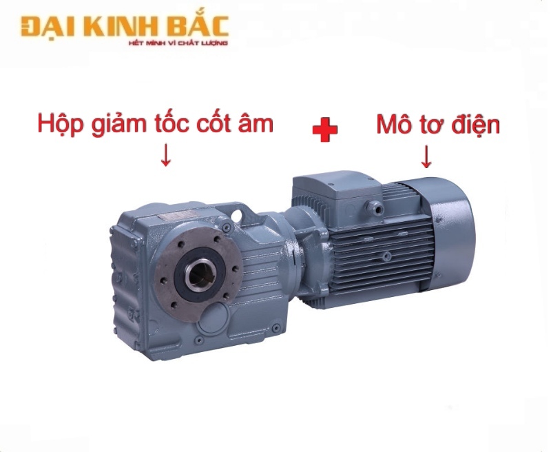 Cấu tạo motor giảm tốc cốt âm